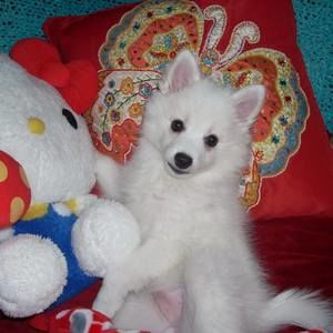 Meet your Posher, Alesia